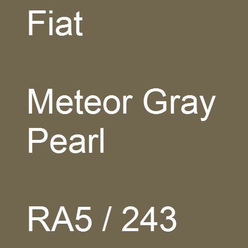 Fiat, Meteor Gray Pearl, RA5 / 243.